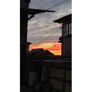 夕日