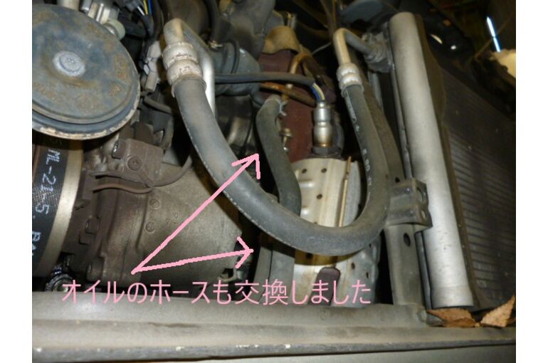 ウォーターホース